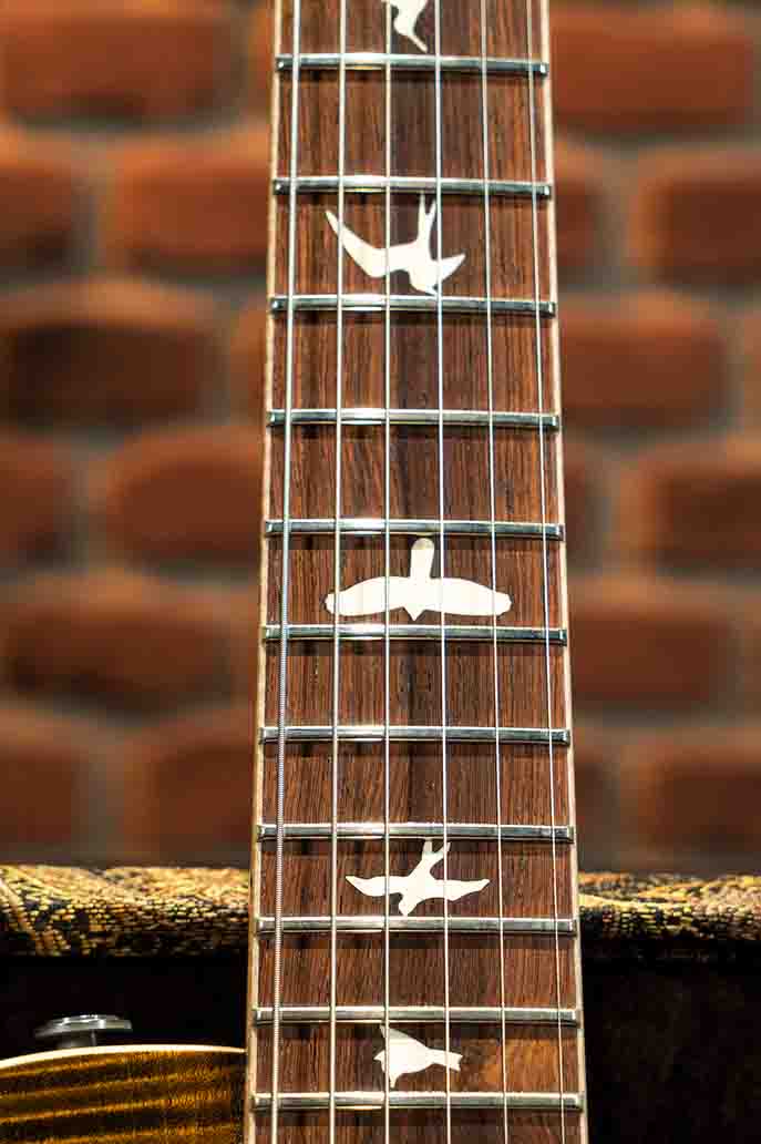 IMAGEN PS#7348 MCCARTY 594