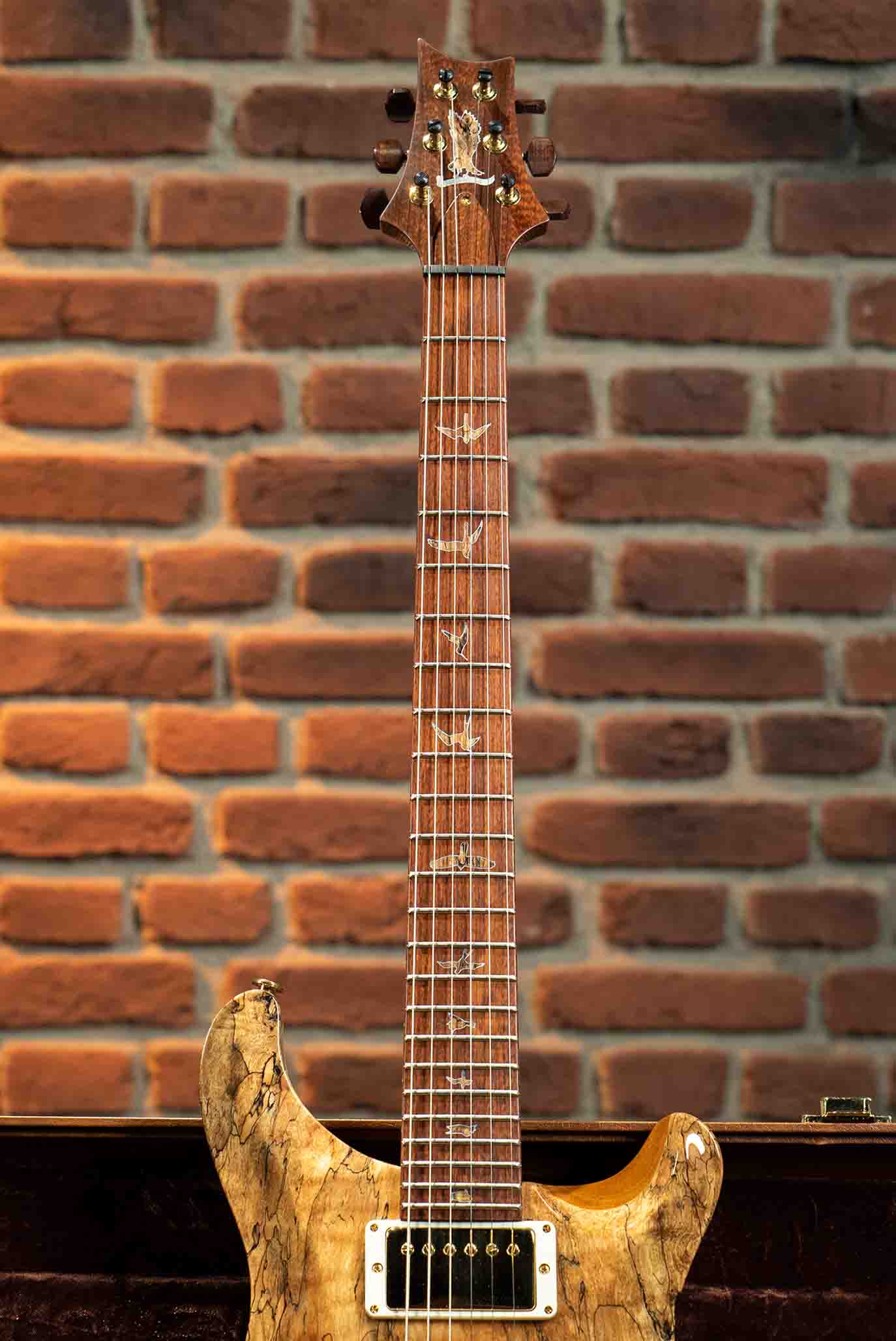 IMAGEN PS#7202 CUSTOM 24